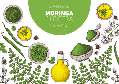 Moringa hand drawn illustration. Organic healthy food. Moringa leaves, plant, powder, seed, oil. Super food moringa hand drawn set . Vector illustration.