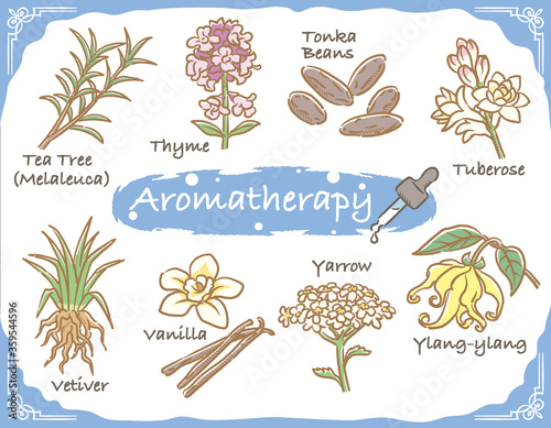 アロマテラピー精油などに使われるハーブ・植物イラスト