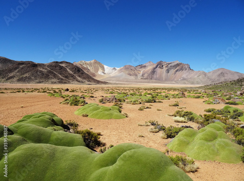 Landscape of Lauca National Park in northern Chile  photo