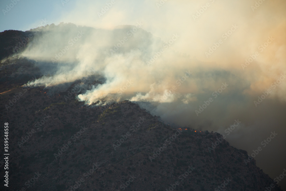 Fototapeta premium Bighorn Fire