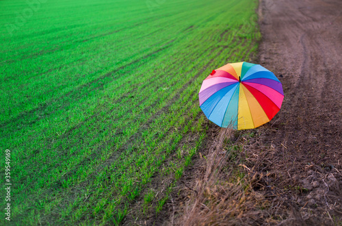 Tęczowa parasolka na polu  © nitka_zaplatana