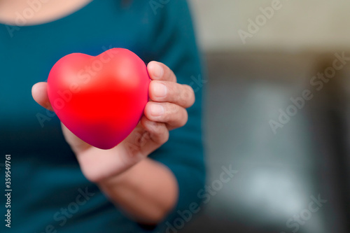 Woman s hand holding red heart shape. Heart disease concept and . love concept.