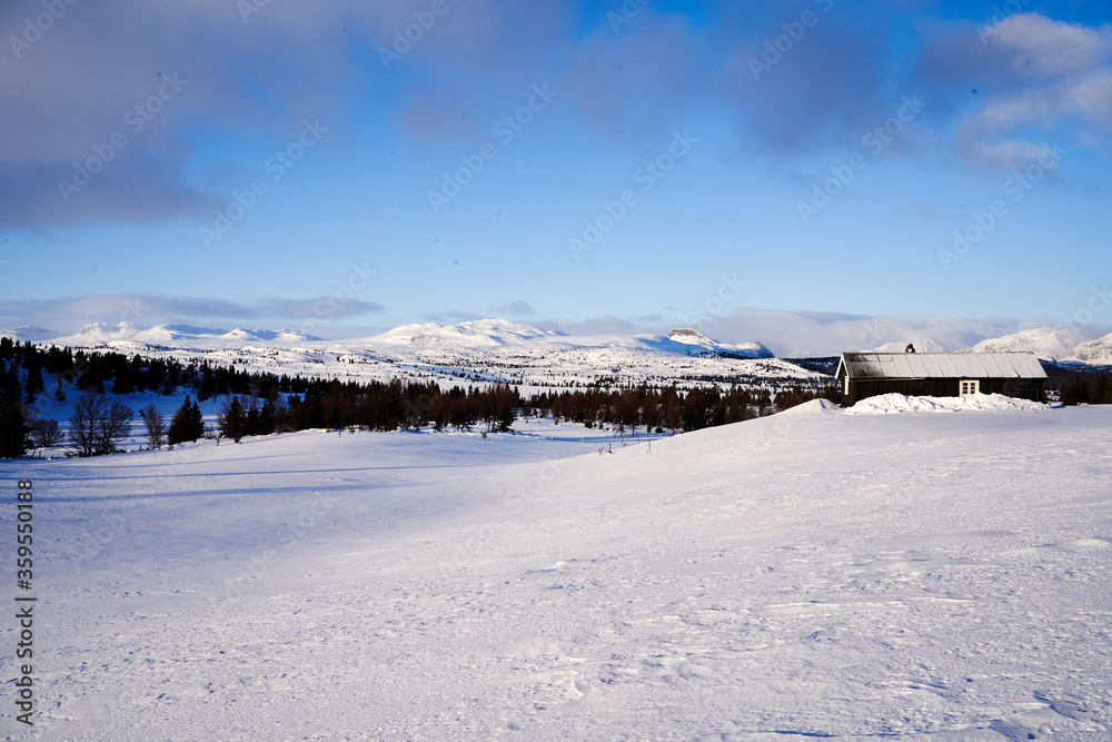 Winter wonderland in Noreway, Hemsedal. High contrast and crisp details.  
