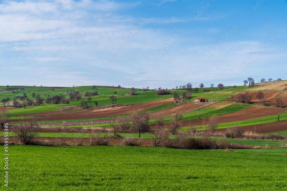 Beautiful fields landscape, Turk village