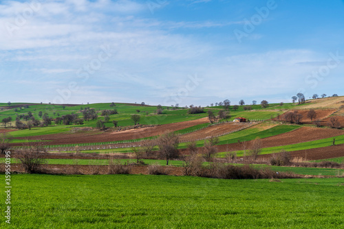 Beautiful fields landscape, Turk village