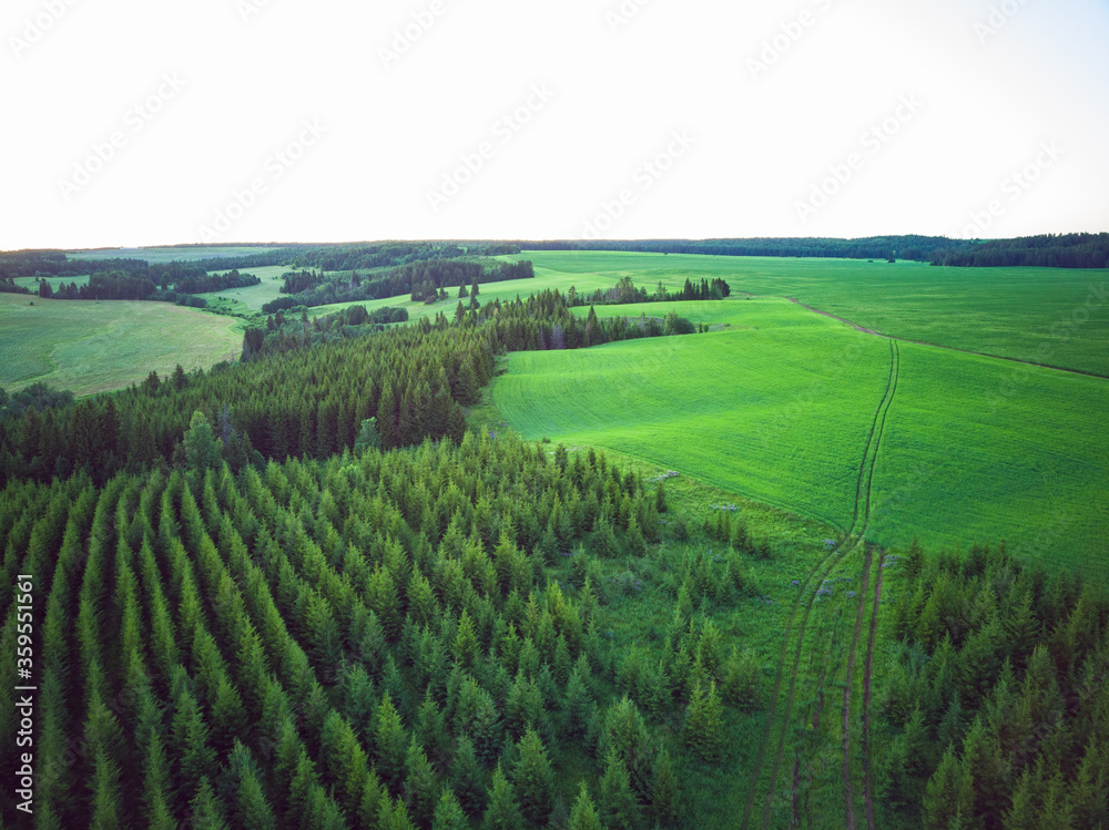 Aerial view of countryside landscape with forest and green fields with road