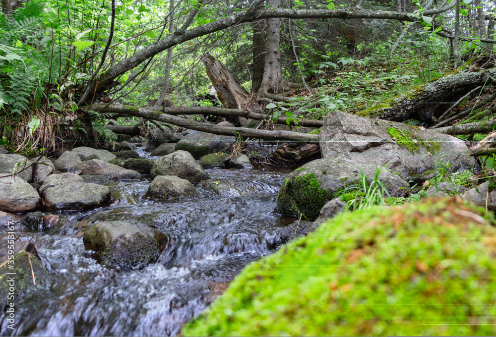 Bubbling Creek Bubbling Creek
