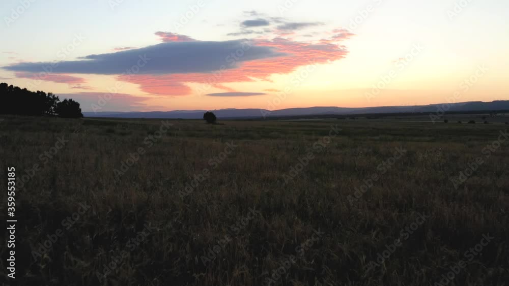 aerial view barley and wheat fields