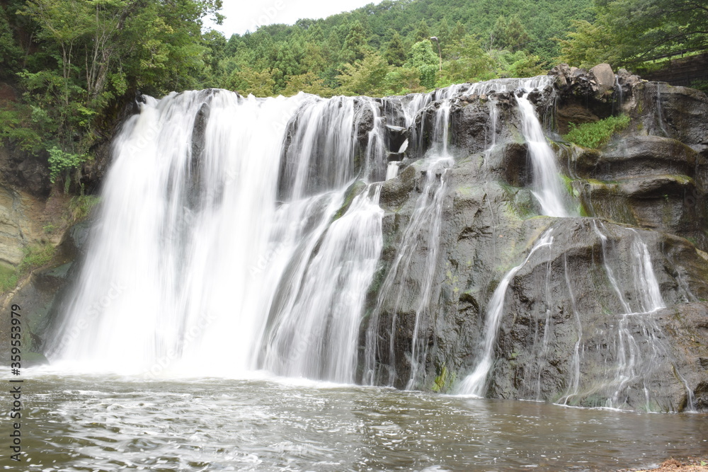Fototapeta premium 滝 