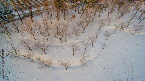 Aerial view of trees in a snow covered public park.