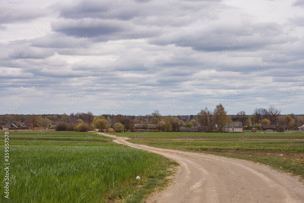 Dirt road among cultivated fields 
 leading to the village. Spring landscape