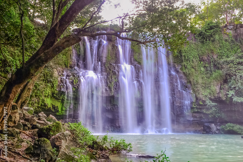 Beautiful Waterfall Catarata Llanos de Cortes in Guanacaste  Costa Rica inmersed in the tropical rainforest 