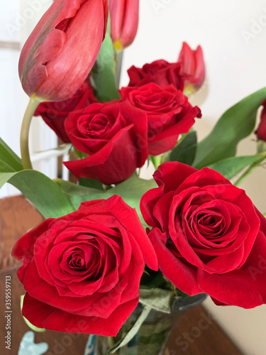 Closeup of beautiful bunch of red roses