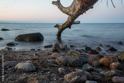 Beautiful sunset with a tree on a baltic sea