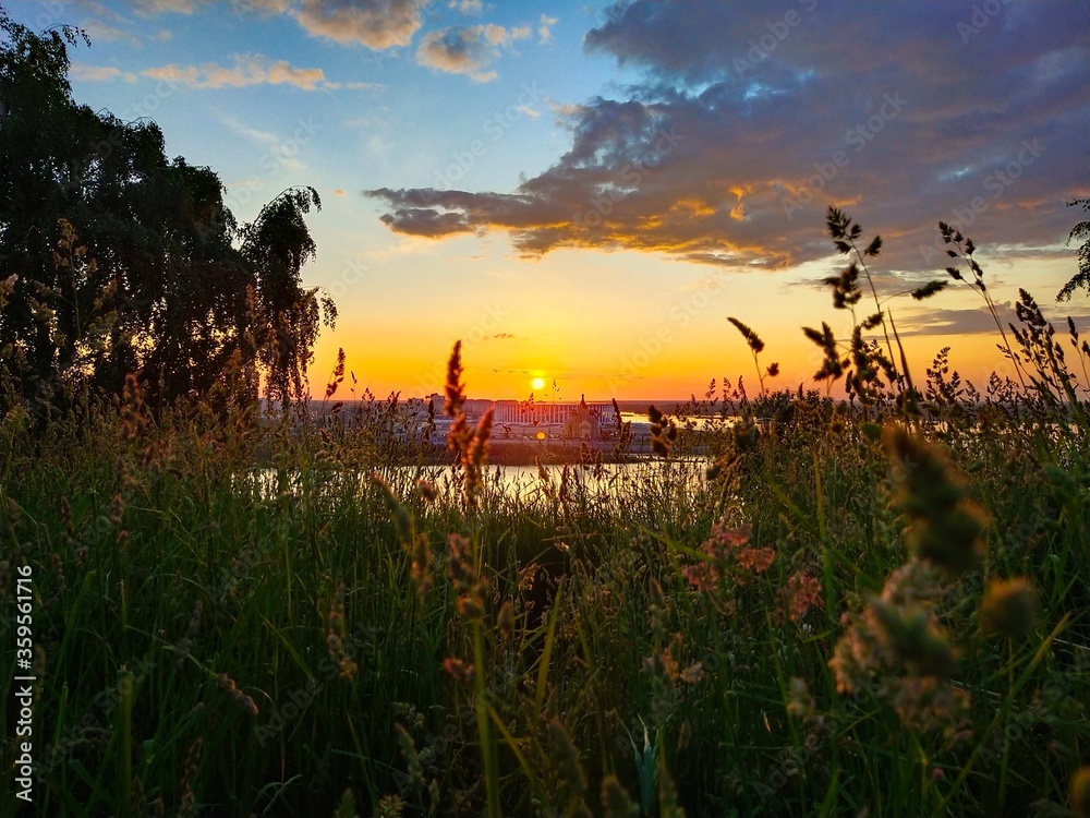 sunset in the field