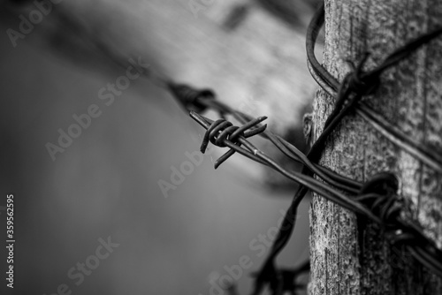  black and white telephoto barbwire 