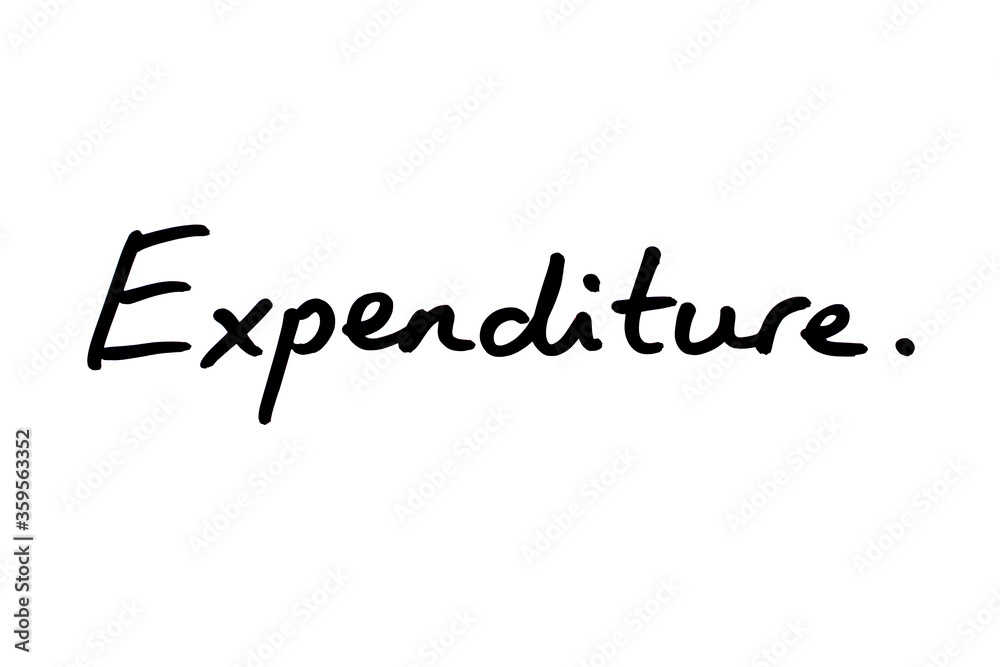 Expenditure Expenditure