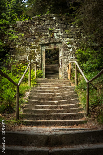 old stairway to heaven   mystery ruined house in forest 