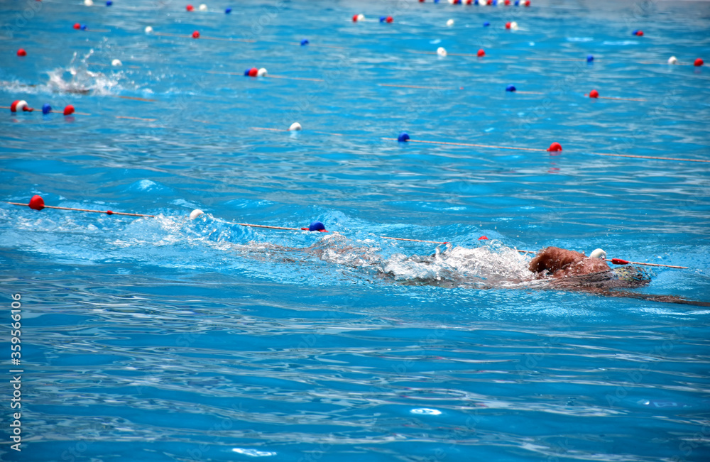 Young boy swimming Freestyle posture in the blue water pool.