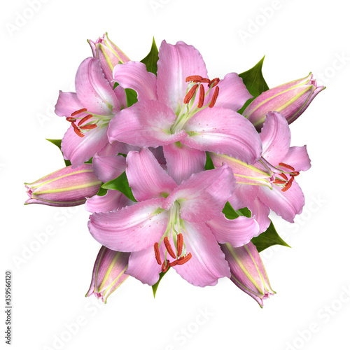 Pink lily bouquet isolated on white background
