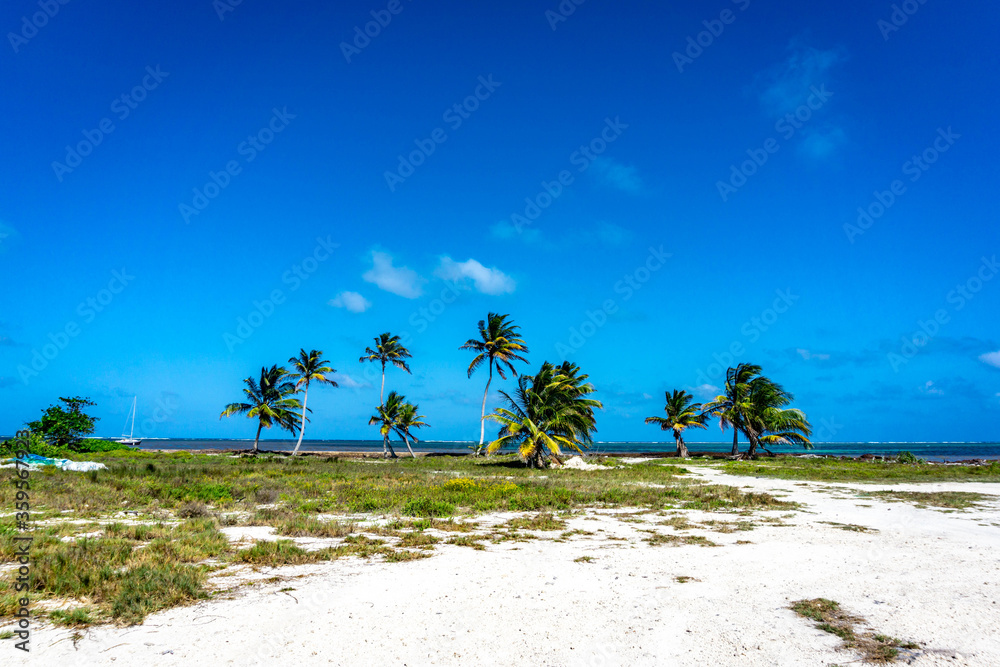 Ambergris Caye - Belize, tropical Paradise in the Caribbean sea. Ambergris Caye - Belize, tropical Paradise in the Caribbean sea.