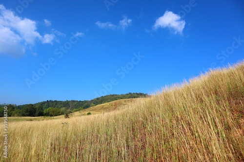 Grass Mountain beautiful in Ranong. golden field. the mountain where there are no big trees grown but it is covered by the grass instead. Grass Mountains in winter with blue sky. season background.