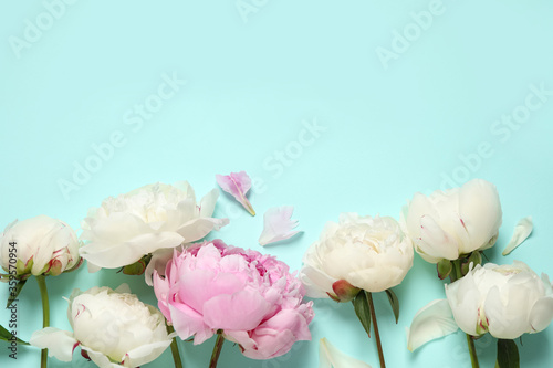 Beautiful peonies on light blue background, flat lay. Space for text