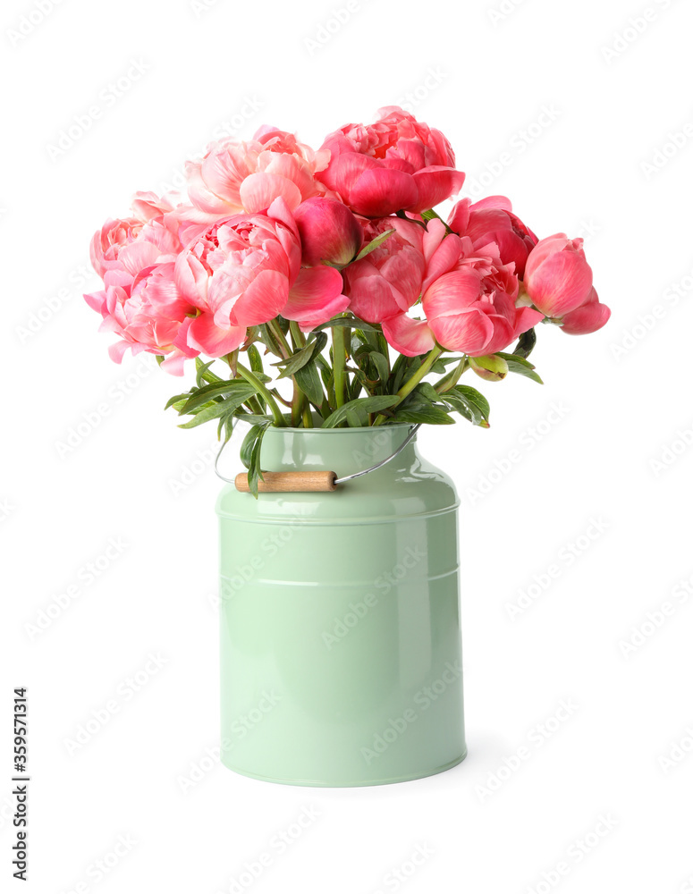 Beautiful pink peonies in can on white background