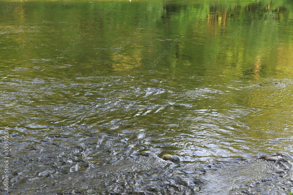 Obraz premium Flowing calm river