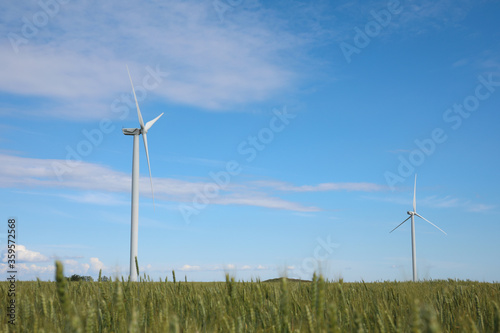 Beautiful view of field with wind turbines. Alternative energy source