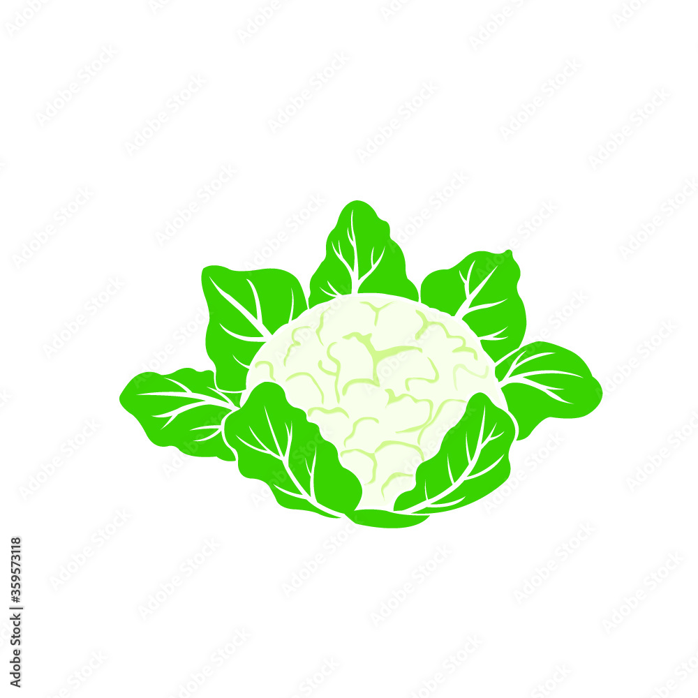 cabbage isolated on white cabbage isolated on white