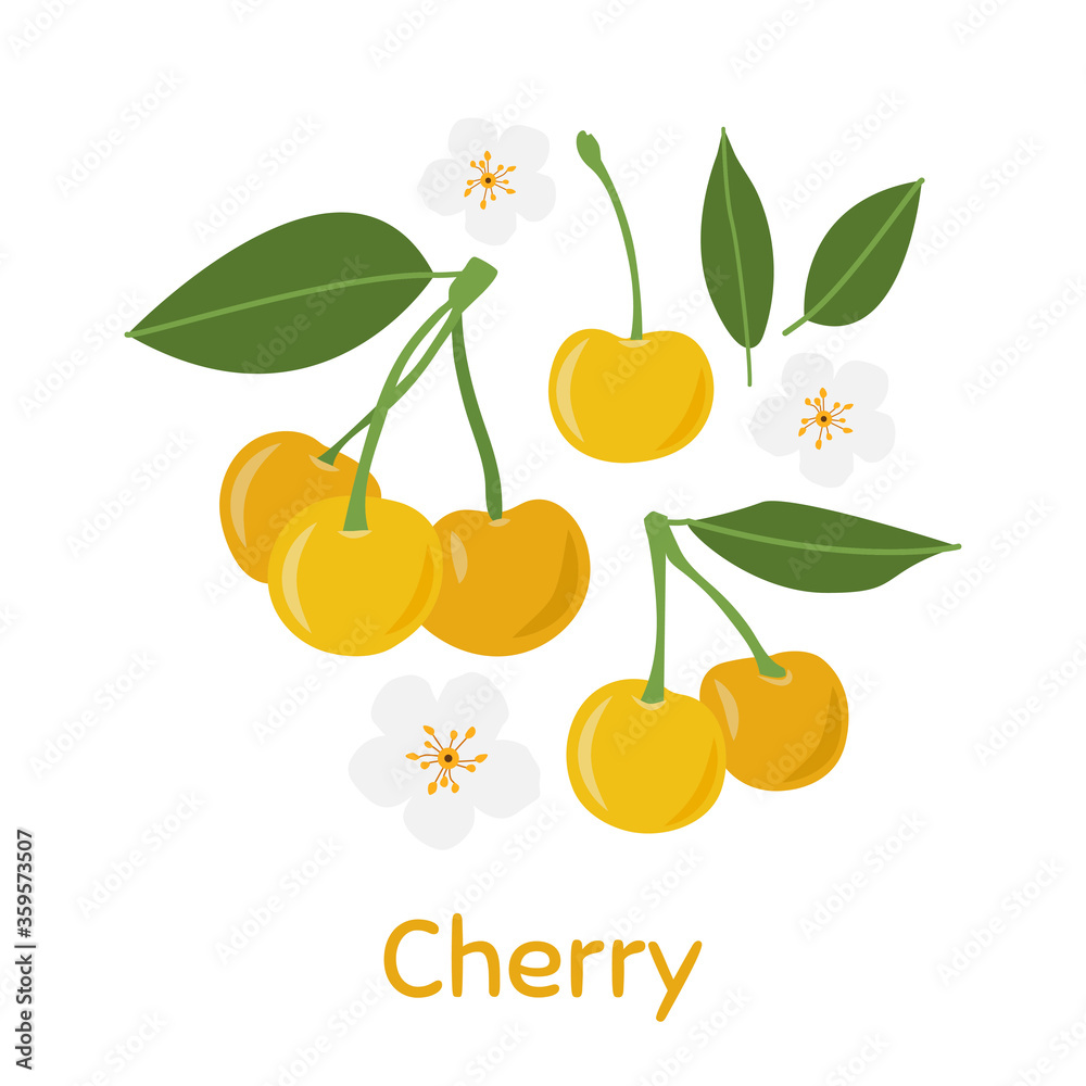 Yellow Cherry. Vector Illustration EPS. Yellow Cherry. Vector Illustration EPS.