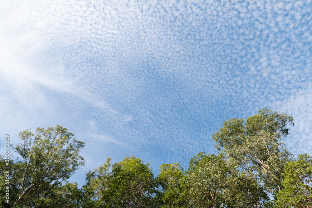 Obraz premium Mackerel Sky