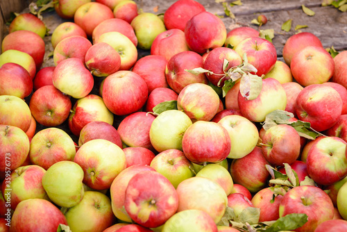 Apples for sale at Hobart's Salamanca Market