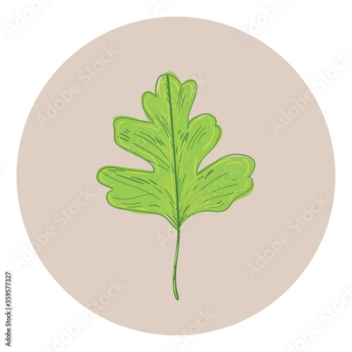 Leaf