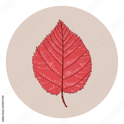 Leaf