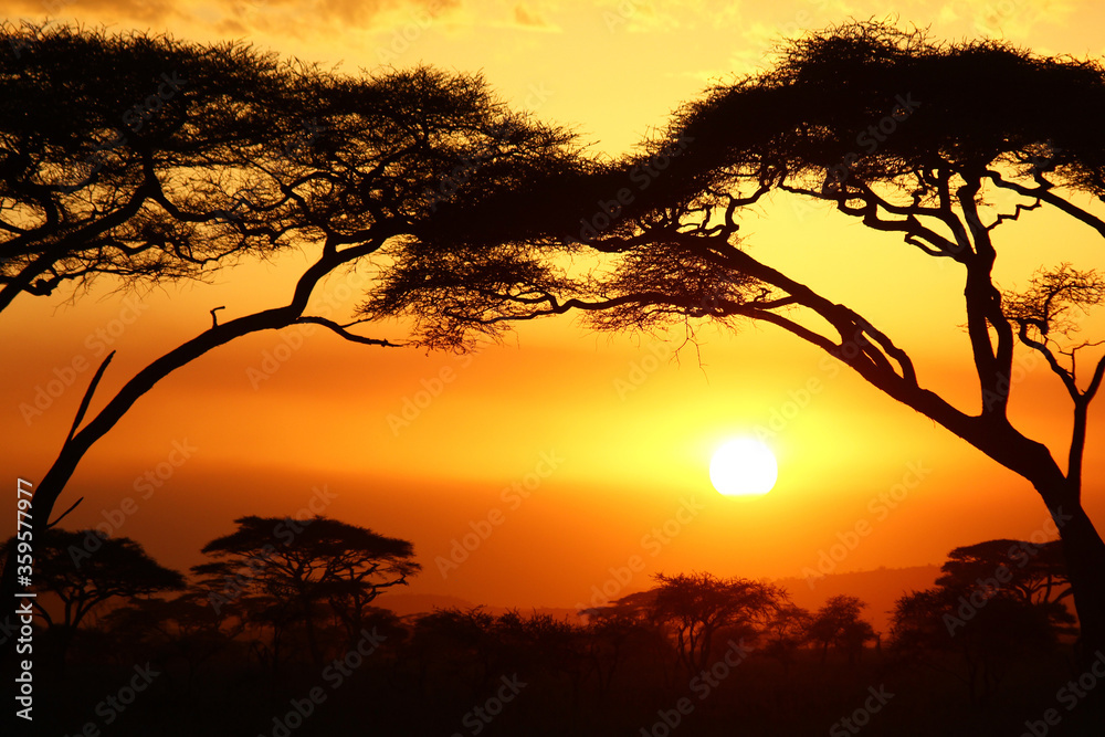Beautiful sunset framed between acacia trees in Africa