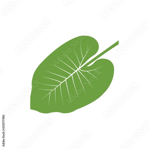 A leaf Illustration.