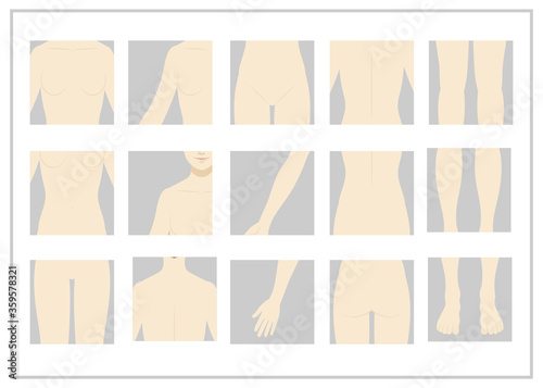 女性 / 体のパーツ / 裸 