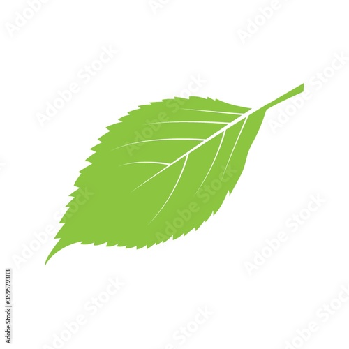 A leaf illustration.