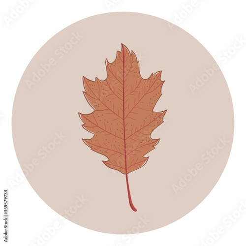 leaf