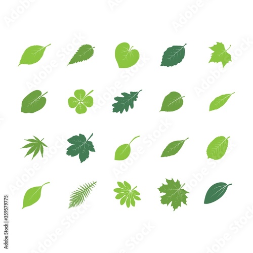 A collection of leaf icons illustration.