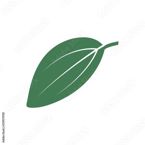 A leaf illustration.