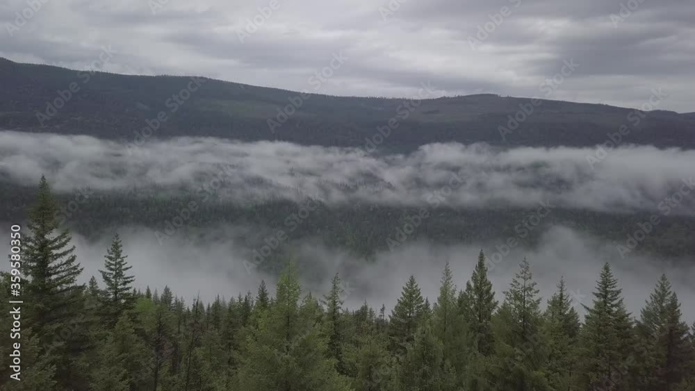 Flying above forest tilting down camera onto foggy canyon - Clearwater river Flying above forest tilting down camera onto foggy canyon - Clearwater river