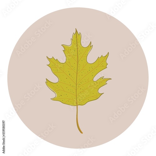 Leaf