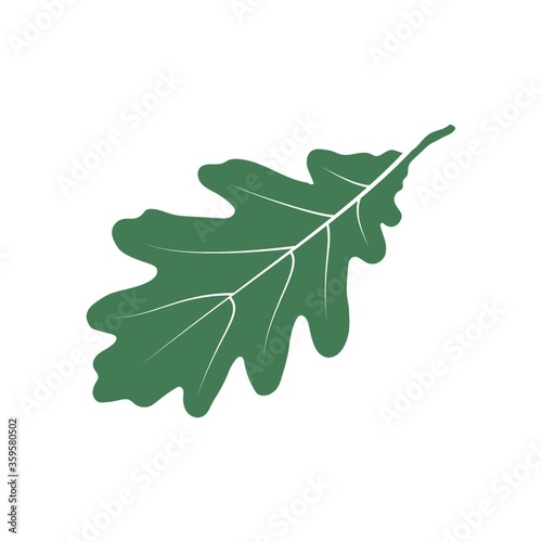 An oak leaf illustration.