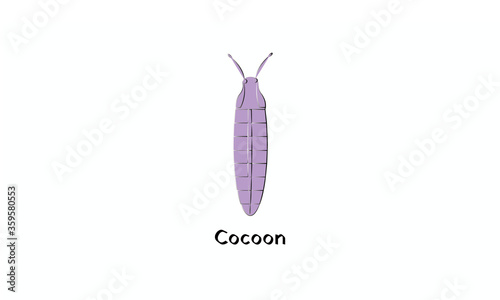 Cocoon