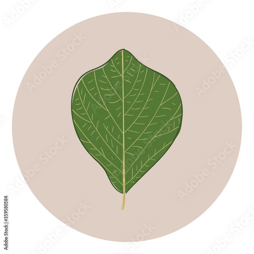 Leaf