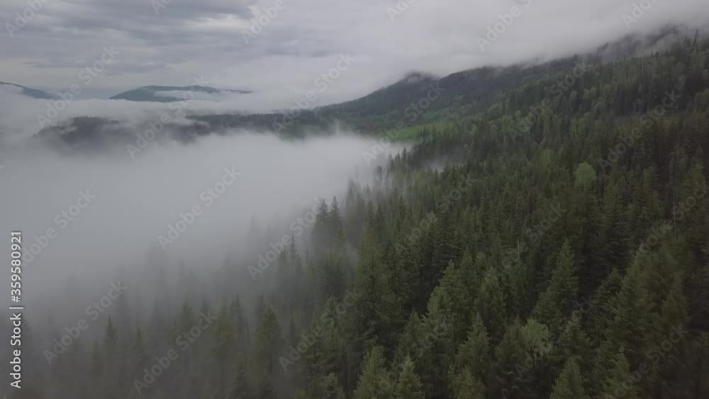 Flying above foggy forest canyon north Flying above foggy forest canyon north