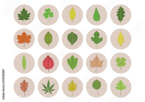 Collection of leaf icons